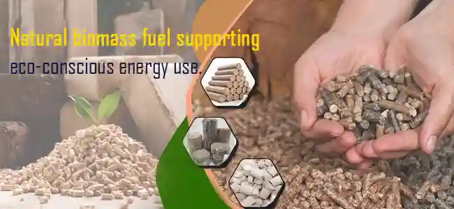 biomass briquettes and biomass pellets.