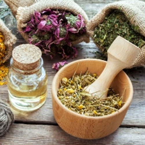 Herbal Veterinary Medicine