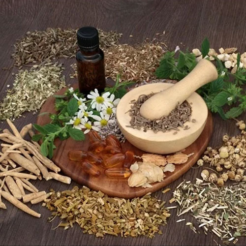 Herbal Veterinary Medicine