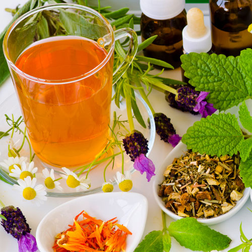 Herbal Veterinary Medicine