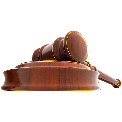 Reverse Auction Services