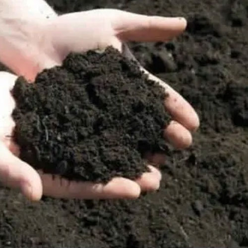 Organic Soil Fertilizer