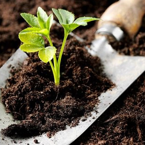 Organic Soil Conditioners