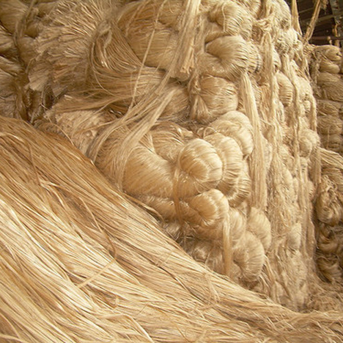 Jute Fiber