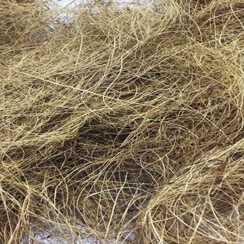 Coir Fiber
