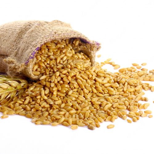 Wheat Seeds