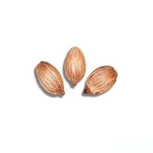 Tree Seeds