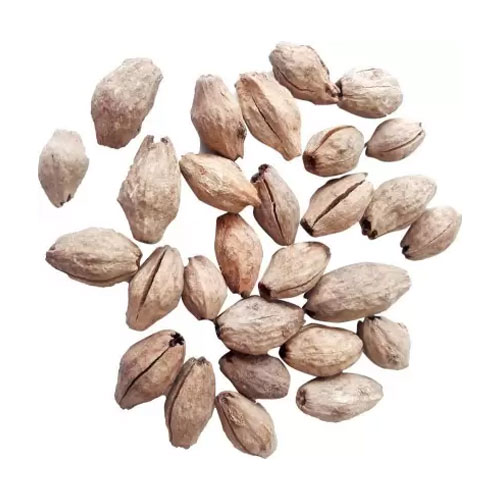 Neem Seeds