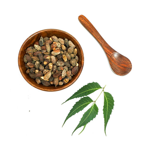 Neem Seeds