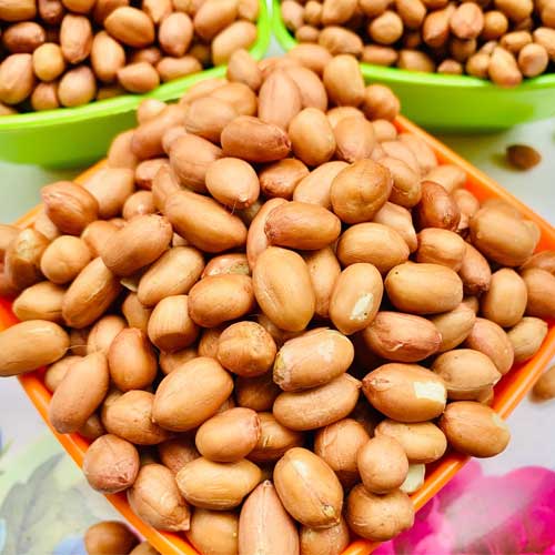 Groundnut Seeds