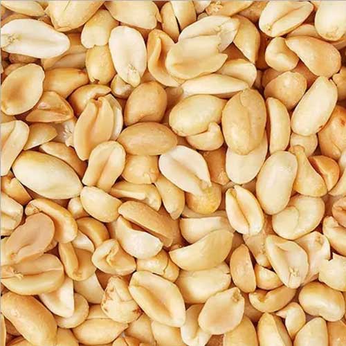 Groundnut Seeds