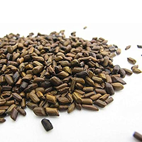 Cassia Seeds