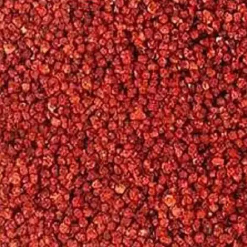 Gloriosa Superba Seeds