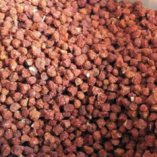 Gloriosa Superba Seeds