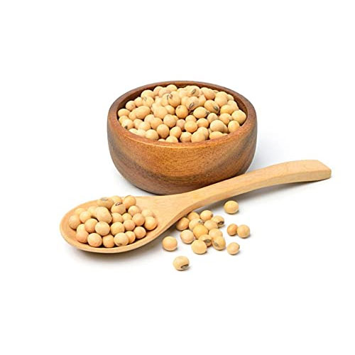 Soybean Seeds