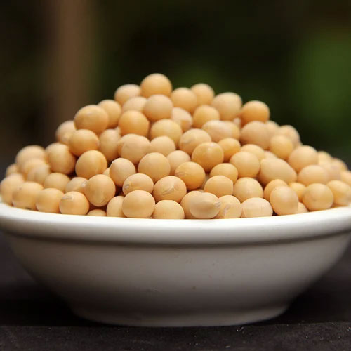 Soybean Seeds
