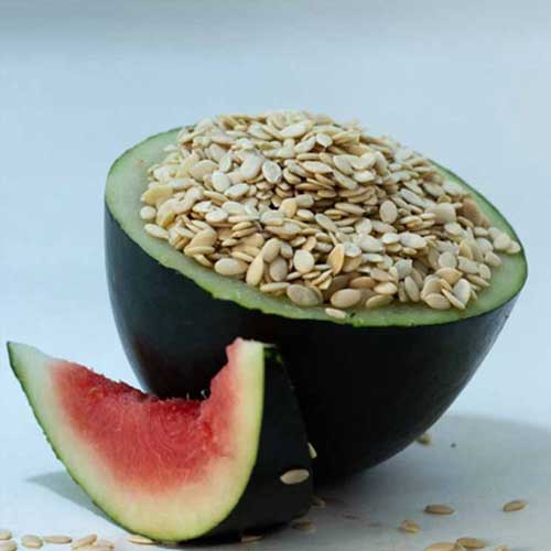 Watermelon Seeds