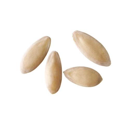 Cucumber Seeds