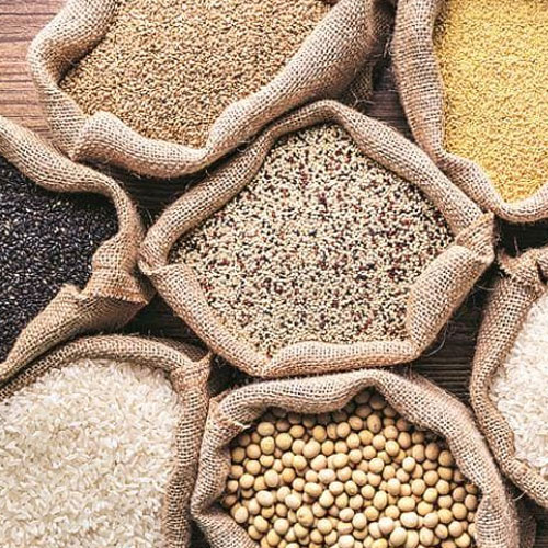Grain Seeds