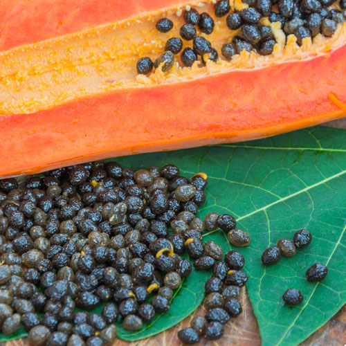 Papaya Seeds