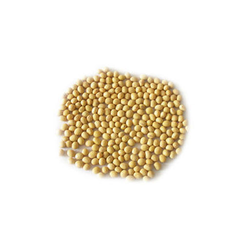Guar Gum Seeds