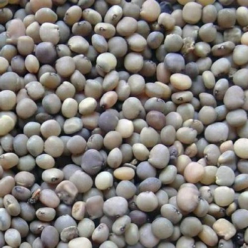 Guar Gum Seeds