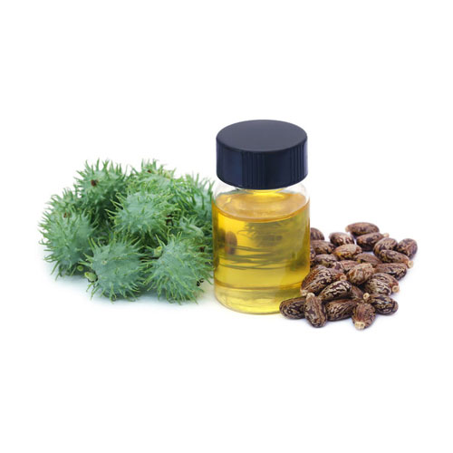 Castor Oil Seeds