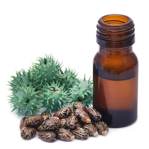 Castor Oil Seeds