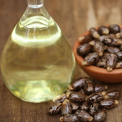 Castor Oil Seeds