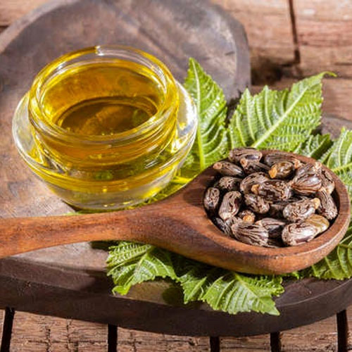 Castor Oil Seeds