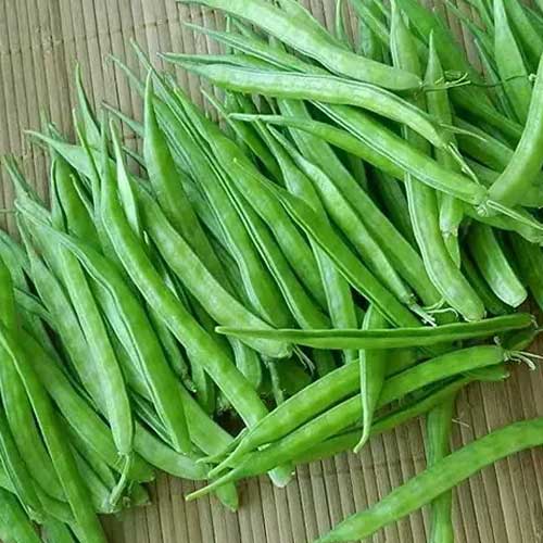 Hybrid Vegetable Seeds