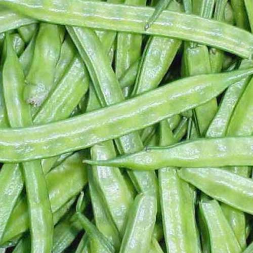 Hybrid Vegetable Seeds