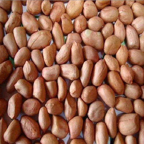 Peanut Seeds