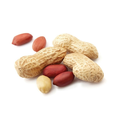 Peanut Seeds