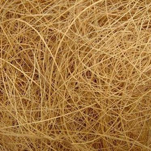 Raw Coir Fiber