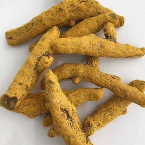 Turmeric Seeds