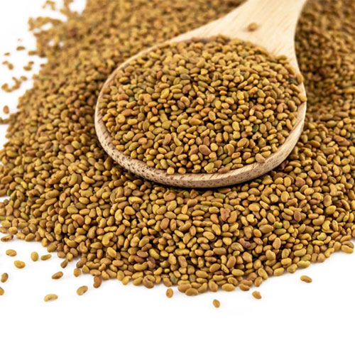 Alfalfa Seeds