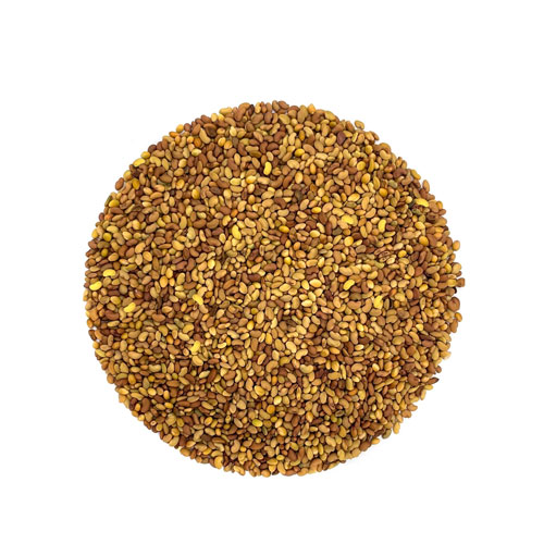 Alfalfa Seeds
