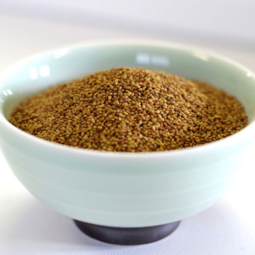Alfalfa Seeds