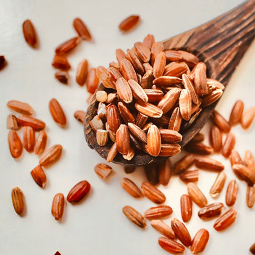 Rice Seeds