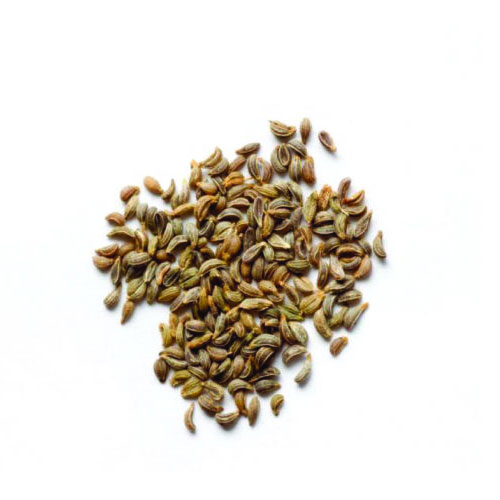 Parsley Seeds