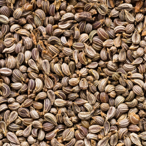 Parsley Seeds