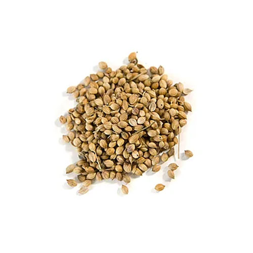 Parsley Seeds