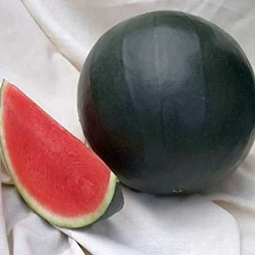 Black Watermelon Seeds