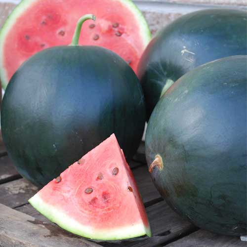 Black Watermelon Seeds