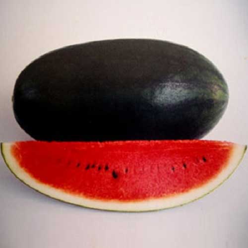 Black Watermelon Seeds