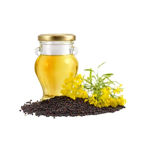 Mustard Oil Seeds