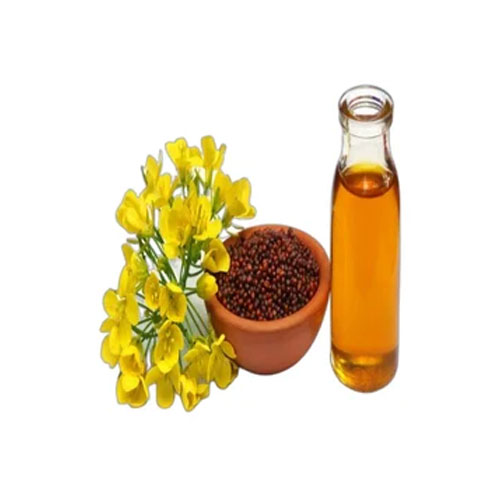 Mustard Oil Seeds