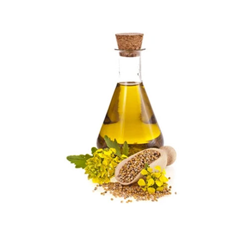 Mustard Oil Seeds