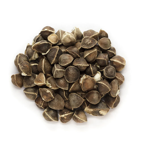 Drumsticks Seeds